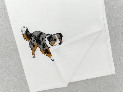 Australian Shepherd Puppy Thief