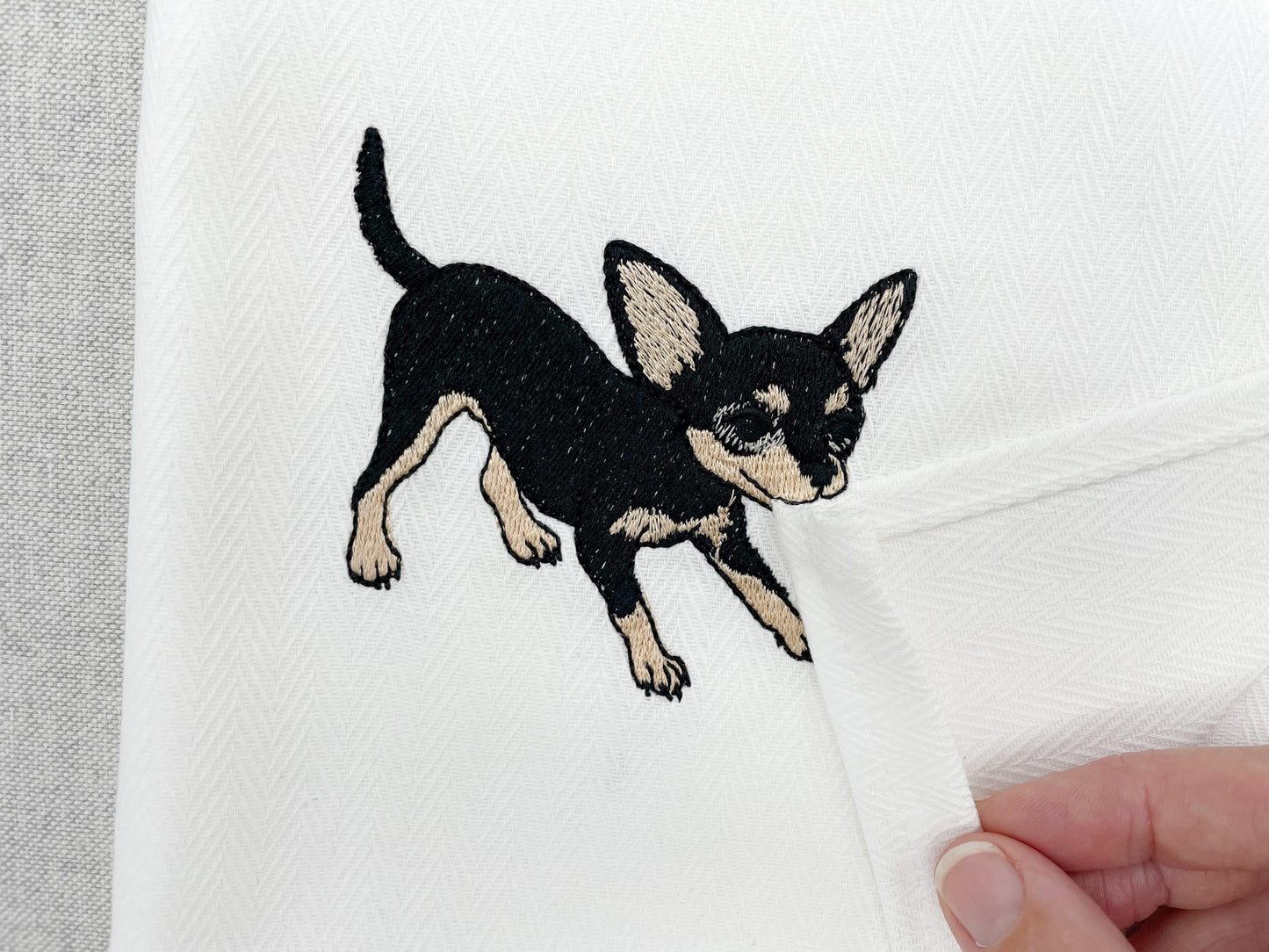 Cute Playing Chihuahua Tricolor