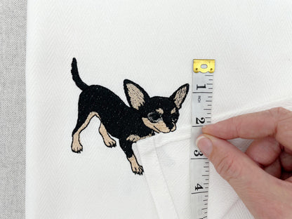 Cute Playing Chihuahua Tricolor