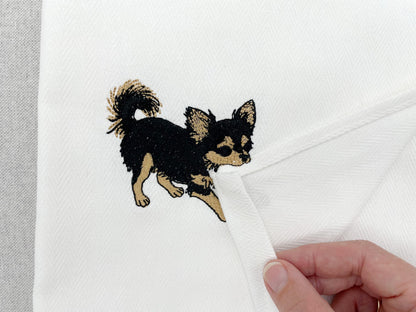Long Hair Chihuahua Puppy Thief