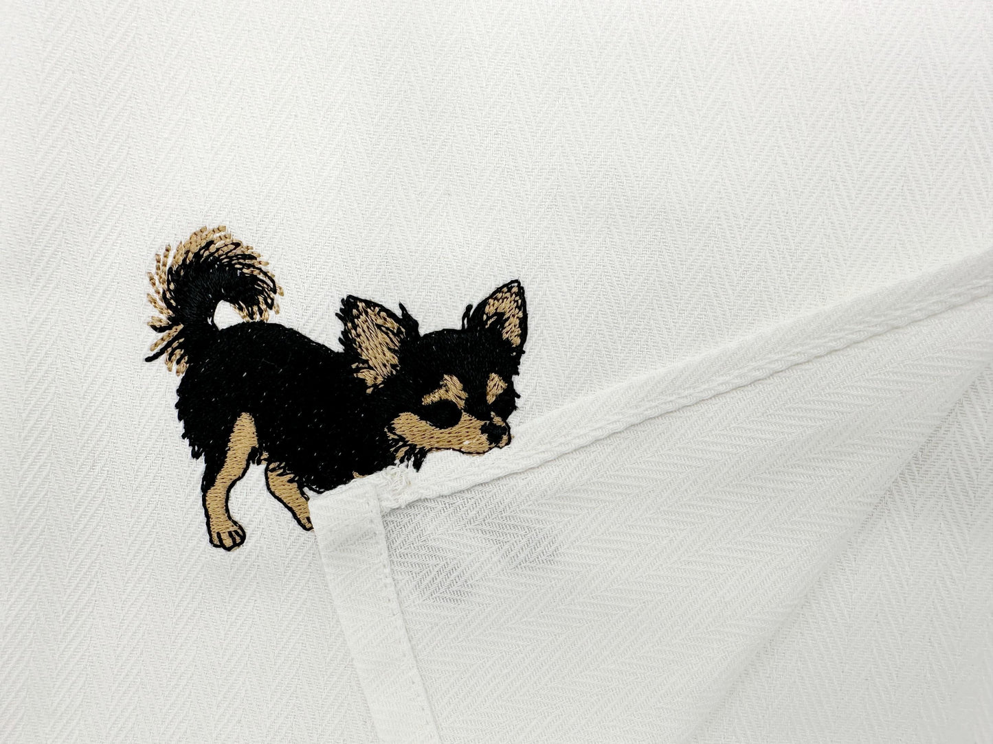 Long Hair Chihuahua Puppy Thief