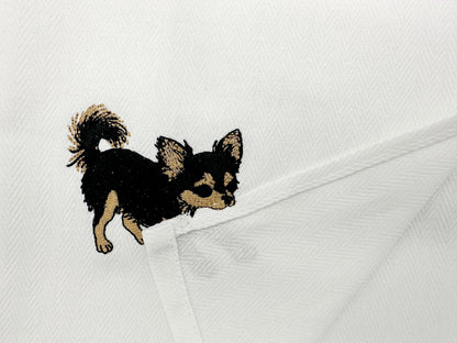 Long Hair Chihuahua Puppy Thief