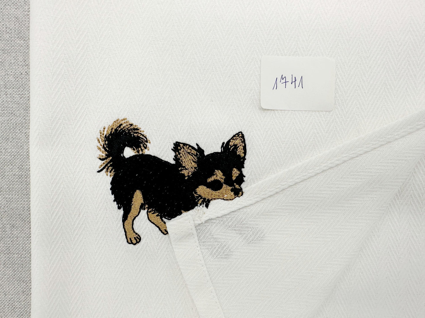 Long Hair Chihuahua Puppy Thief