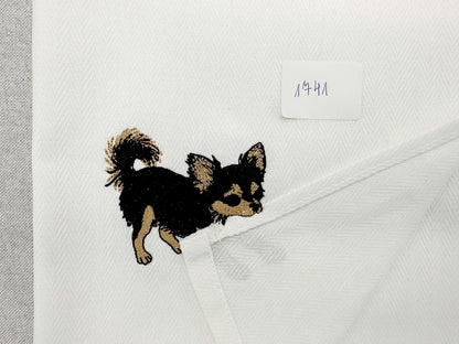 Long Hair Chihuahua Puppy Thief