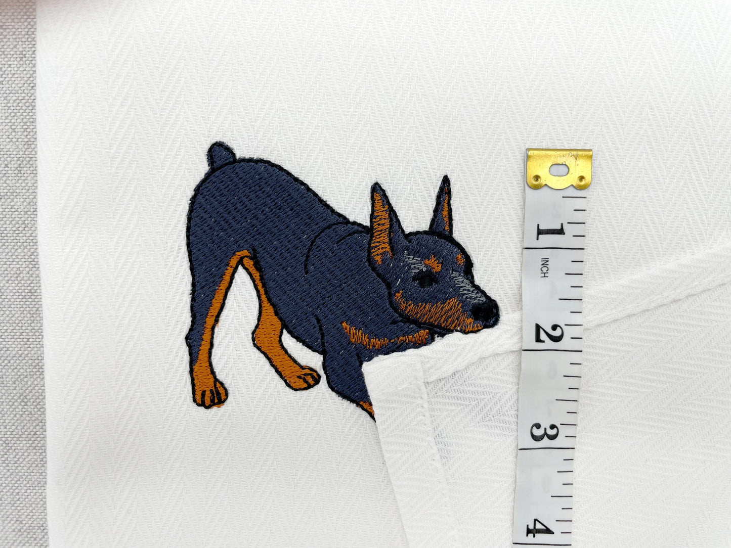 Playing Doberman Pinscher Thief