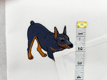 Playing Doberman Pinscher Thief
