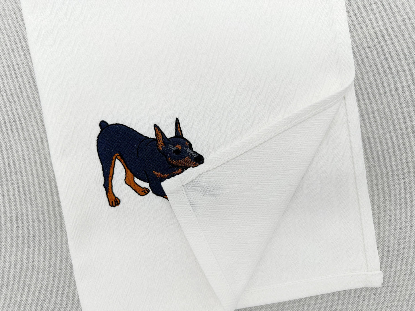 Playing Doberman Pinscher Thief