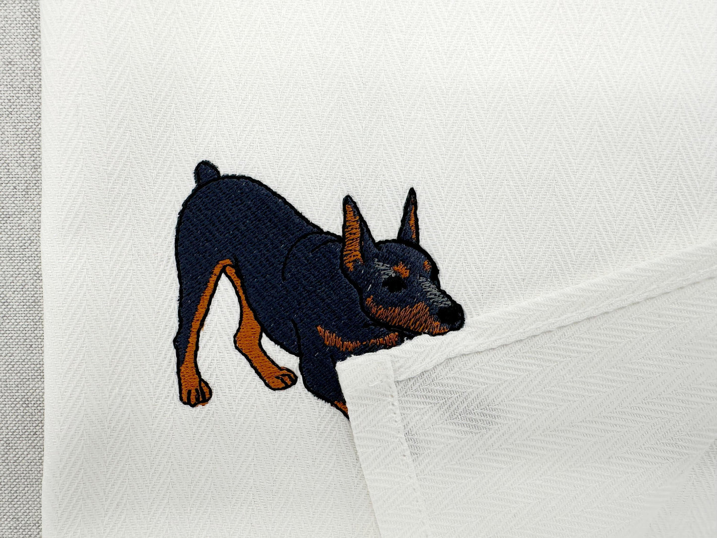 Playing Doberman Pinscher Thief