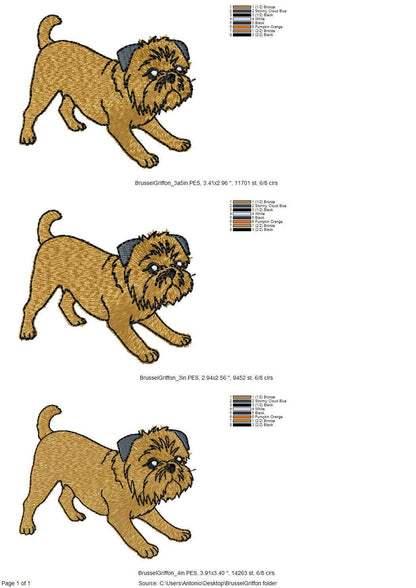 Playing Brussels Griffon Puppy Thief