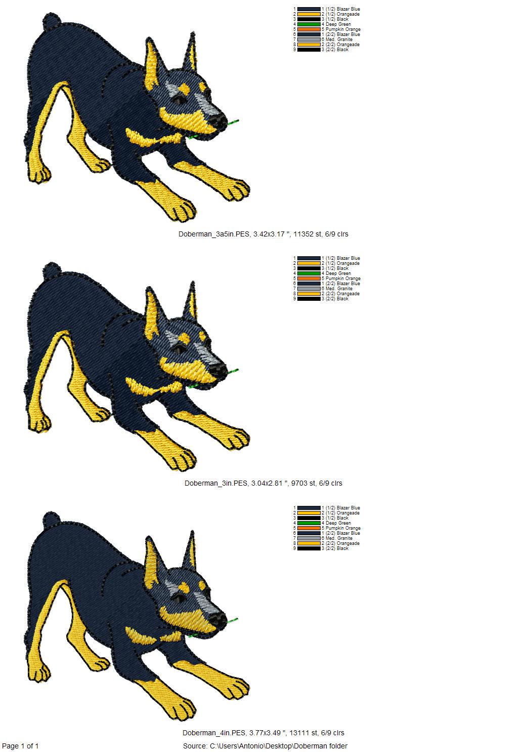 Playing Doberman Pinscher Thief