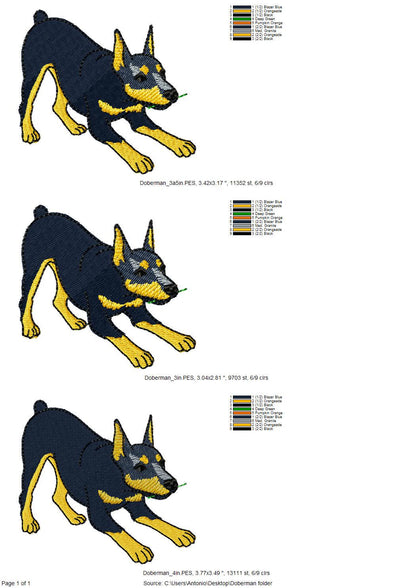 Playing Doberman Pinscher Thief
