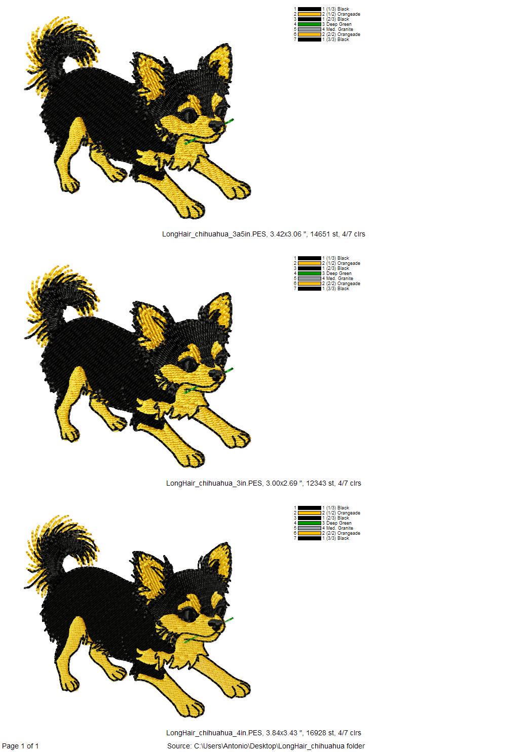 Long Hair Chihuahua Puppy Thief