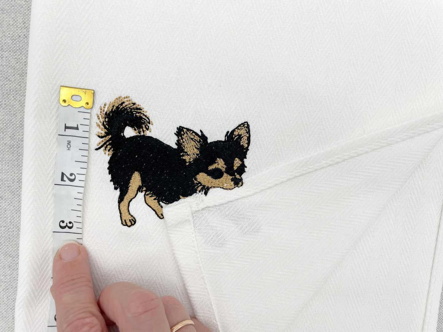 Long Hair Chihuahua Puppy Thief