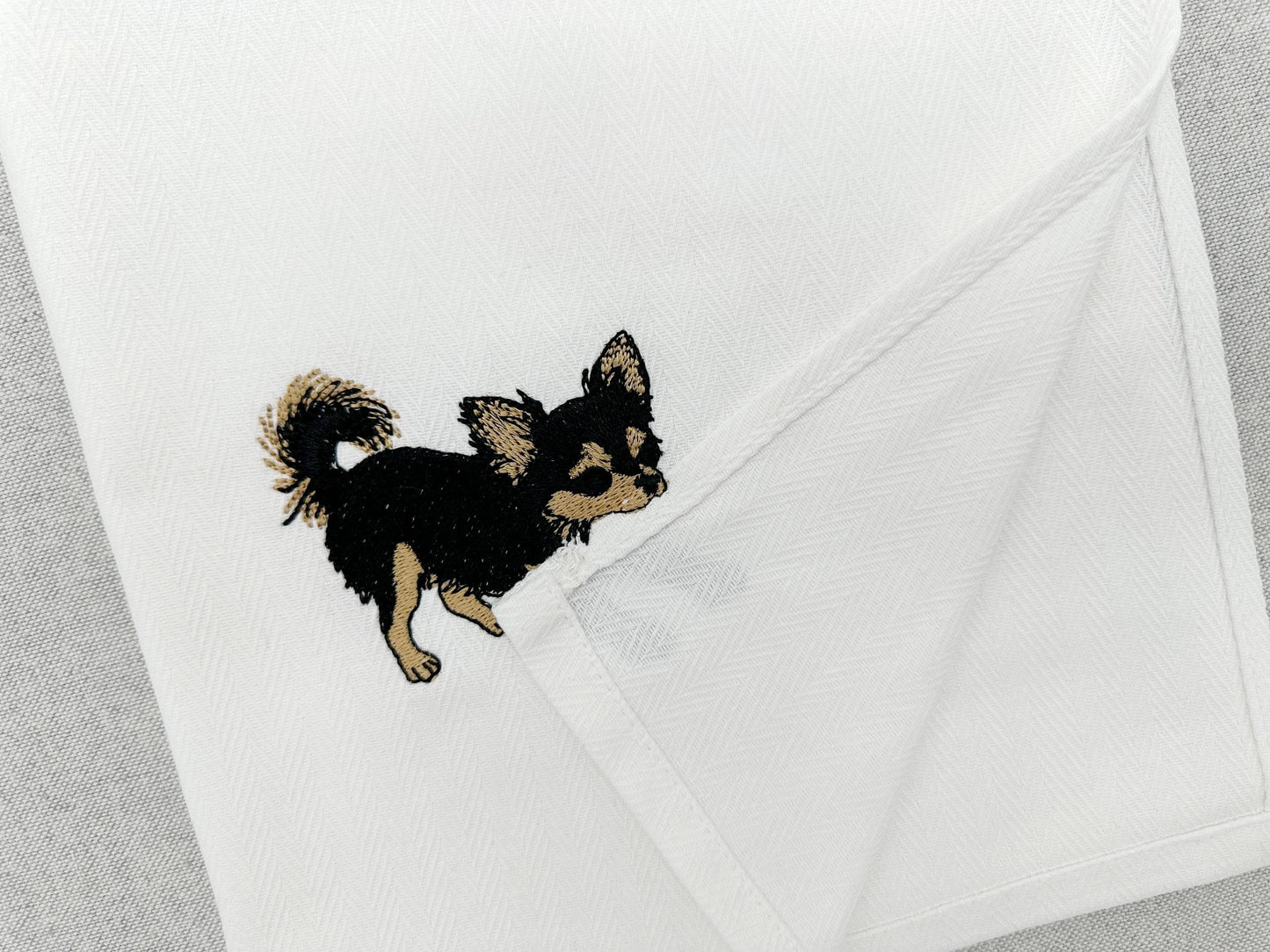 Long Hair Chihuahua Puppy Thief