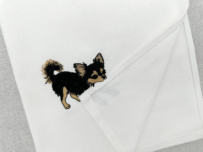 Long Hair Chihuahua Puppy Thief
