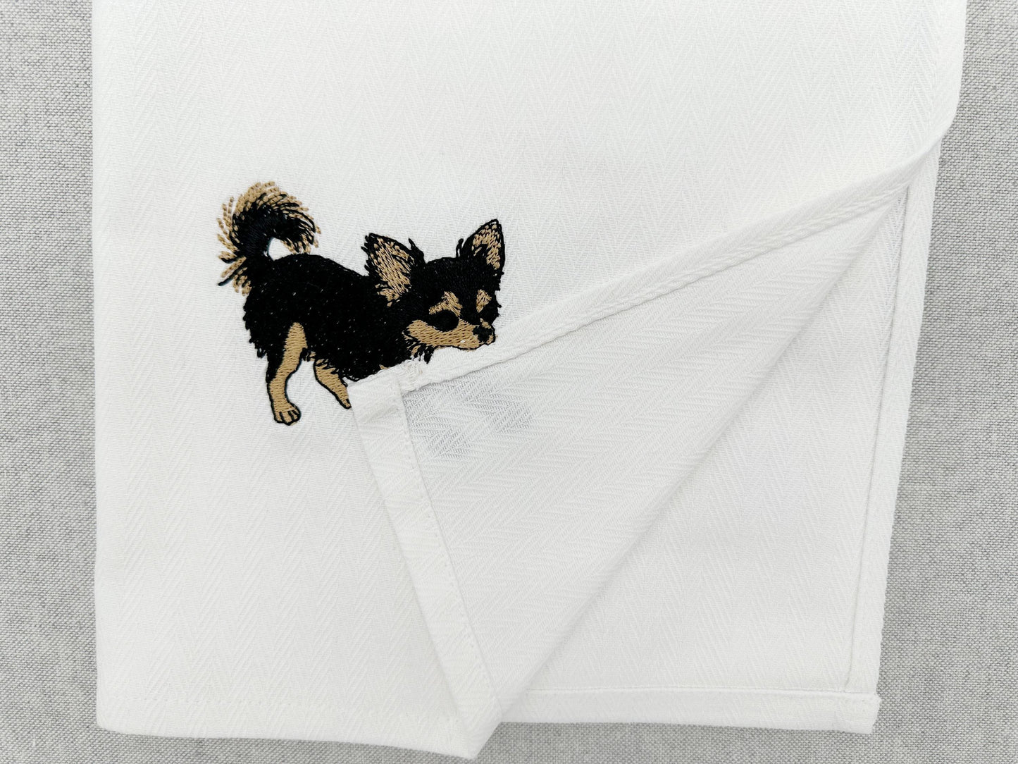 Long Hair Chihuahua Puppy Thief