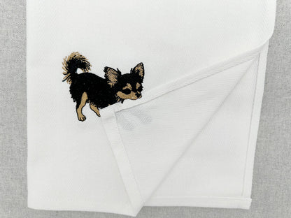 Long Hair Chihuahua Puppy Thief