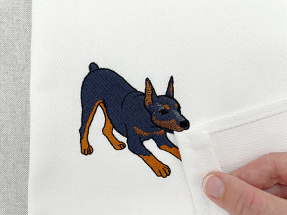 Playing Doberman Pinscher Thief