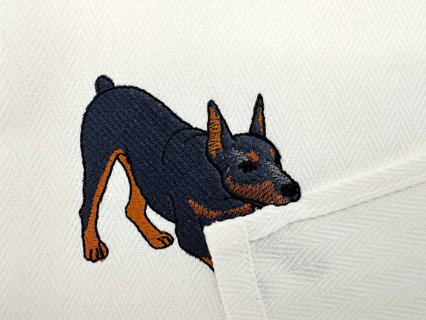 Playing Doberman Pinscher Thief