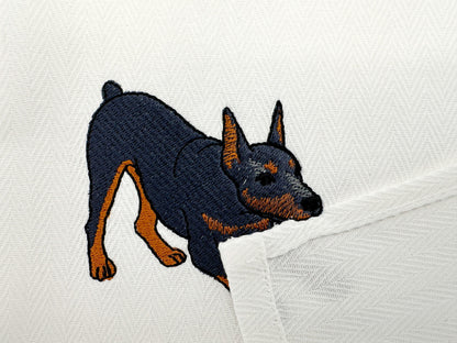 Playing Doberman Pinscher Thief