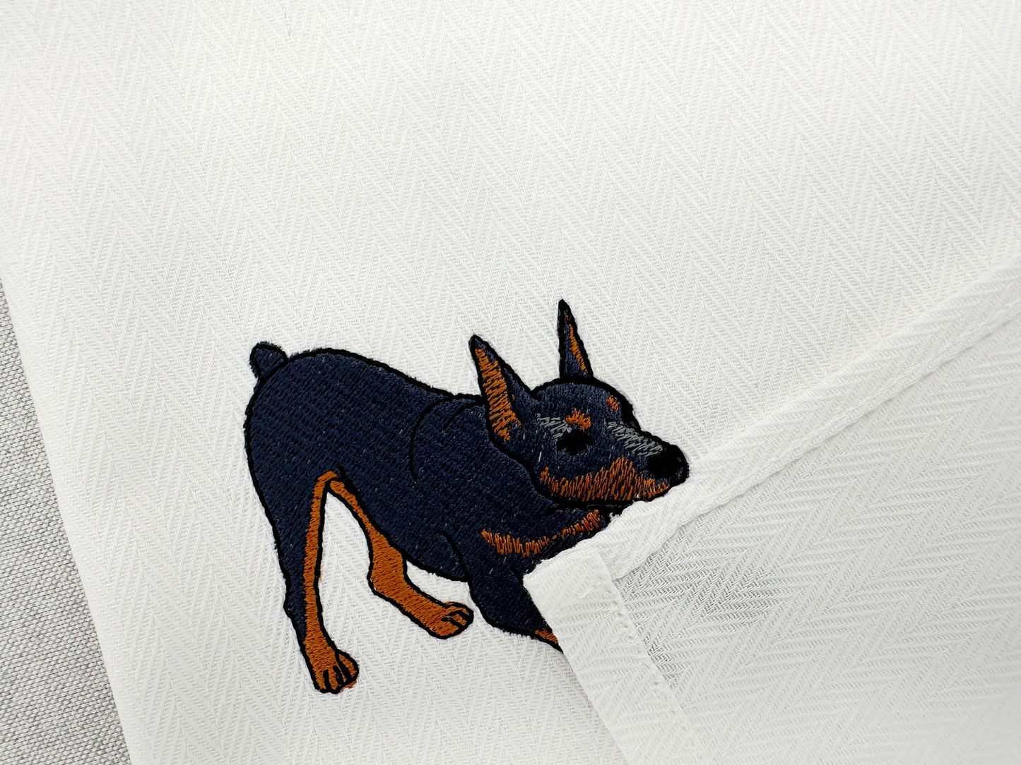 Playing Doberman Pinscher Thief