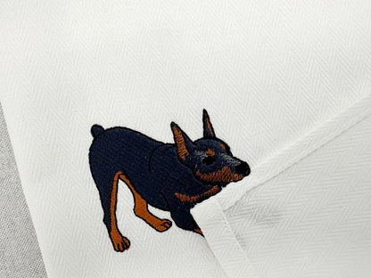 Playing Doberman Pinscher Thief