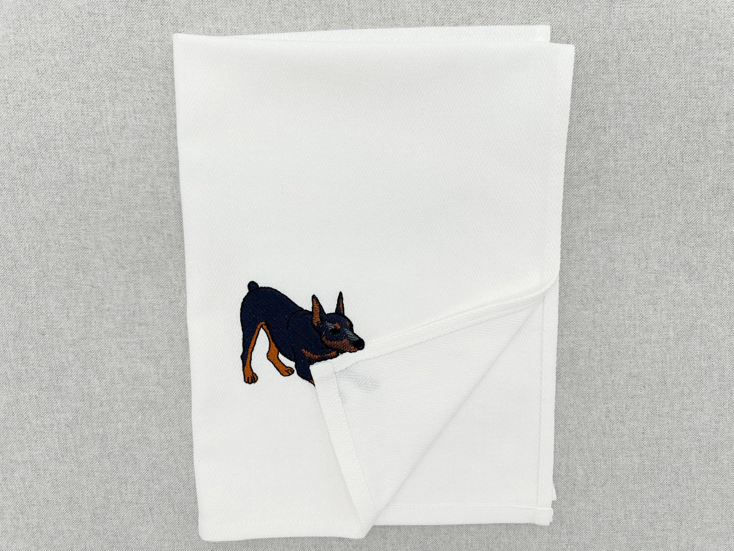 Playing Doberman Pinscher Thief