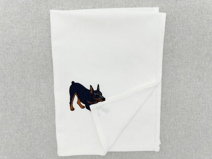 Playing Doberman Pinscher Thief
