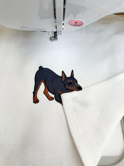 Playing Doberman Pinscher Thief