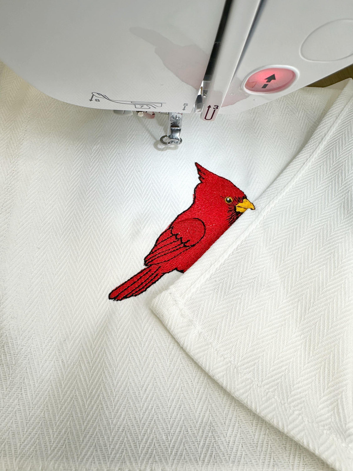 Cardinal Bird Christmas Thief