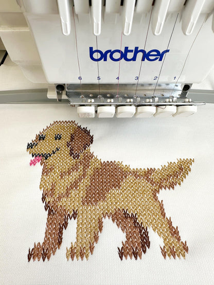 Golden retriever em tricô grosso