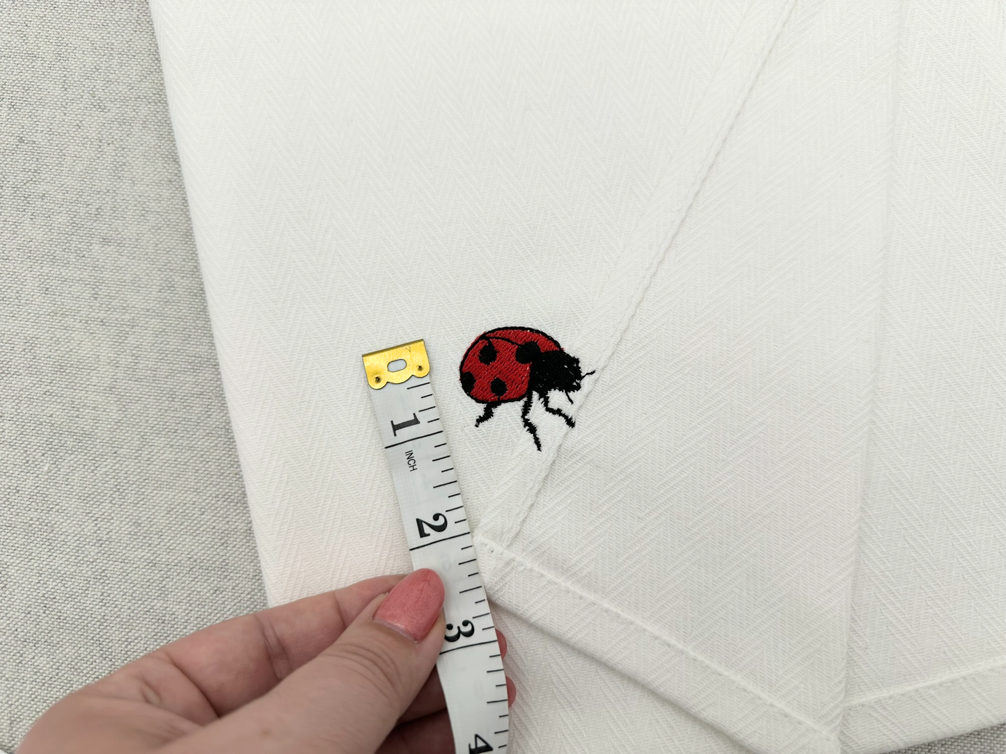 Summer Ladybug Thief