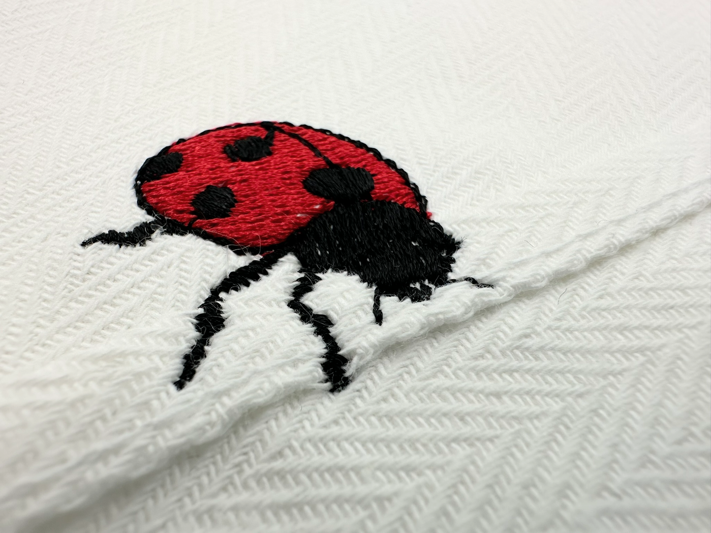 Summer Ladybug Thief