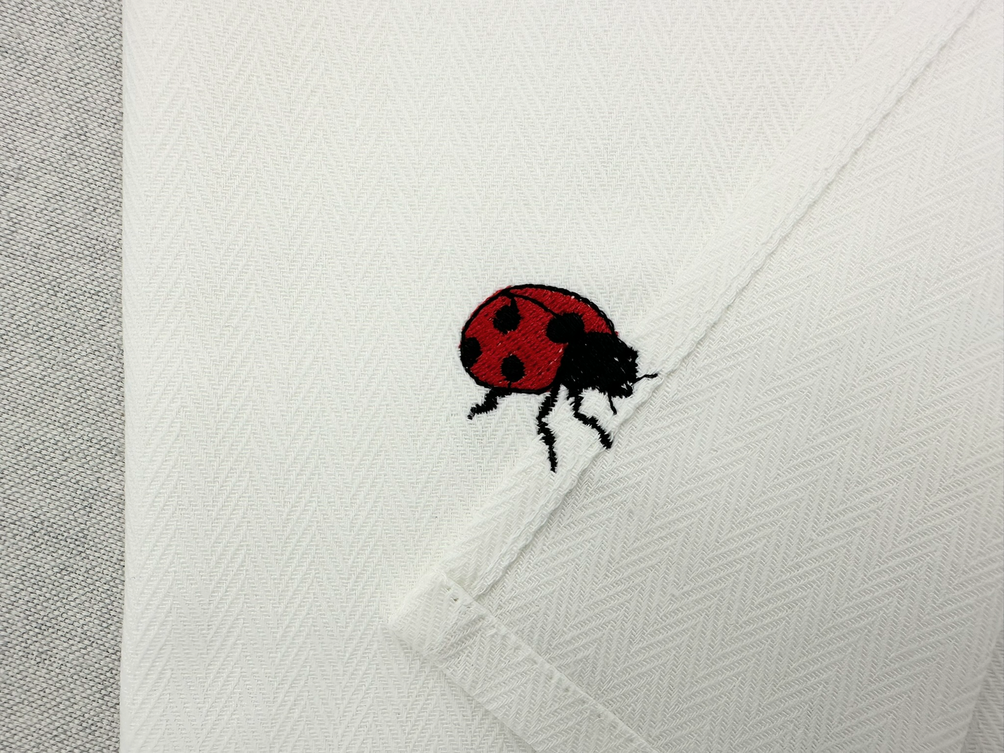 Summer Ladybug Thief