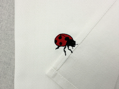 Summer Ladybug Thief