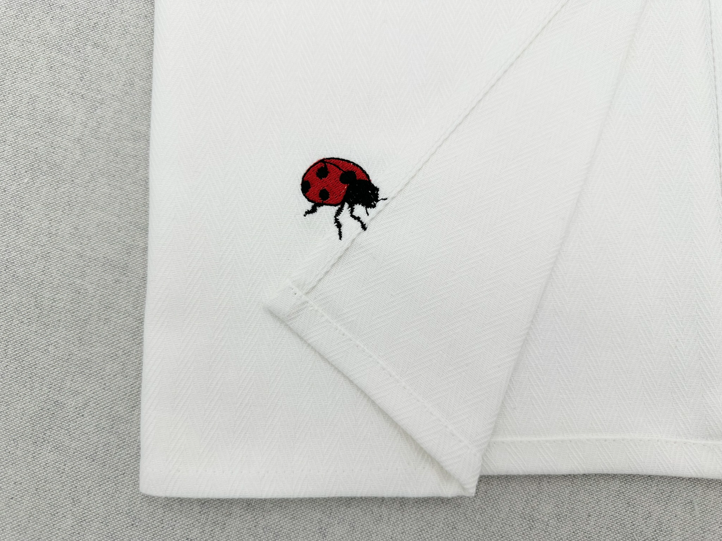 Summer Ladybug Thief