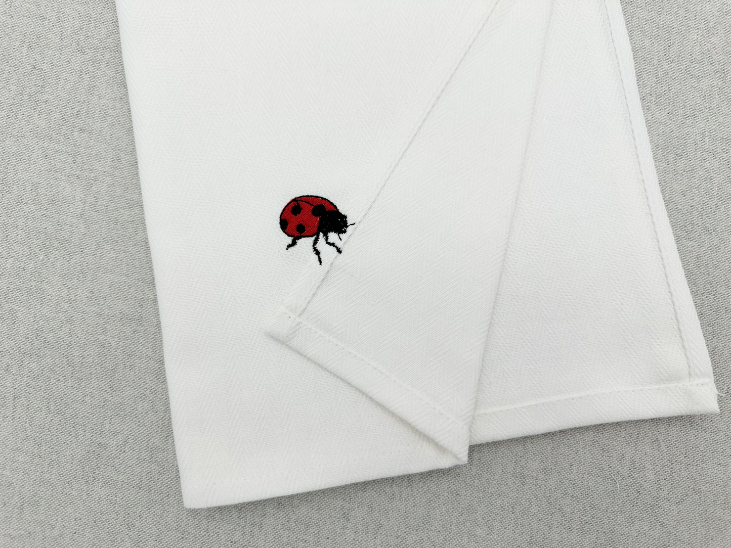 Summer Ladybug Thief
