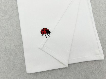 Summer Ladybug Thief