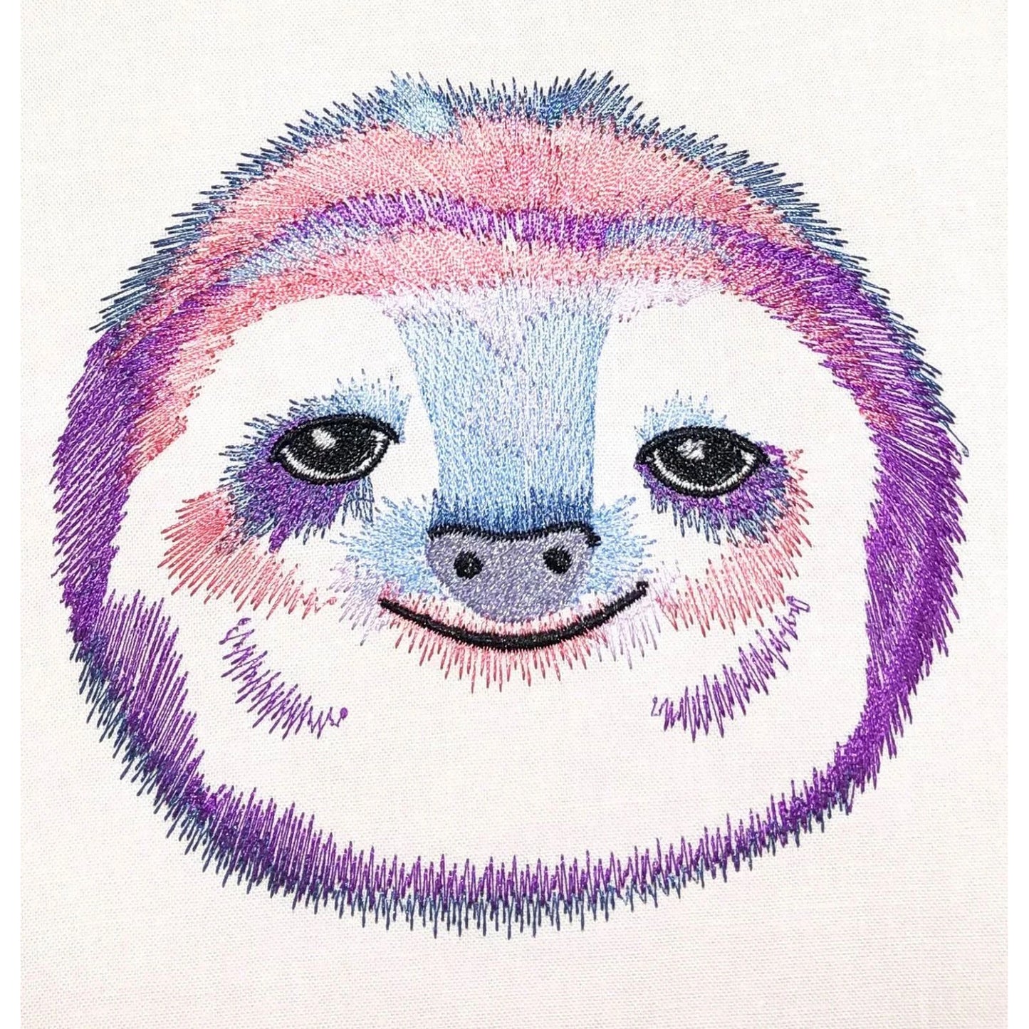 Cute Sloth